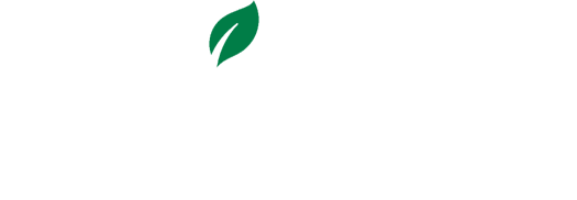 Balctic Capital Partners Logo Footer